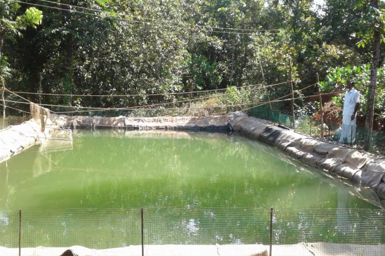 Fish Farming In Kerala